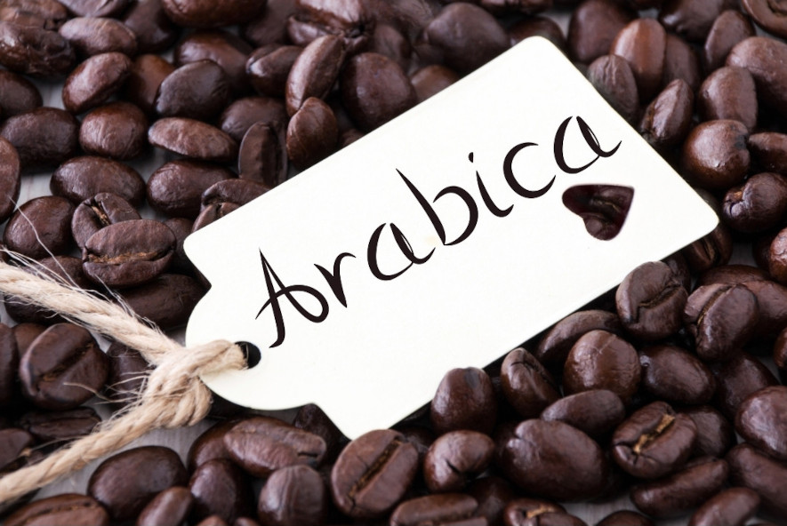 Rostade kaffebönor av sorten Arabica