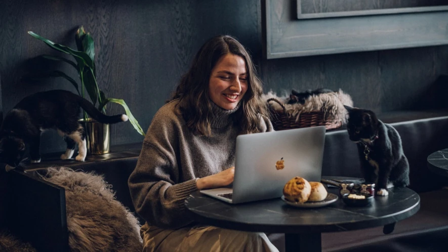 Pluggar med kaffe och katt