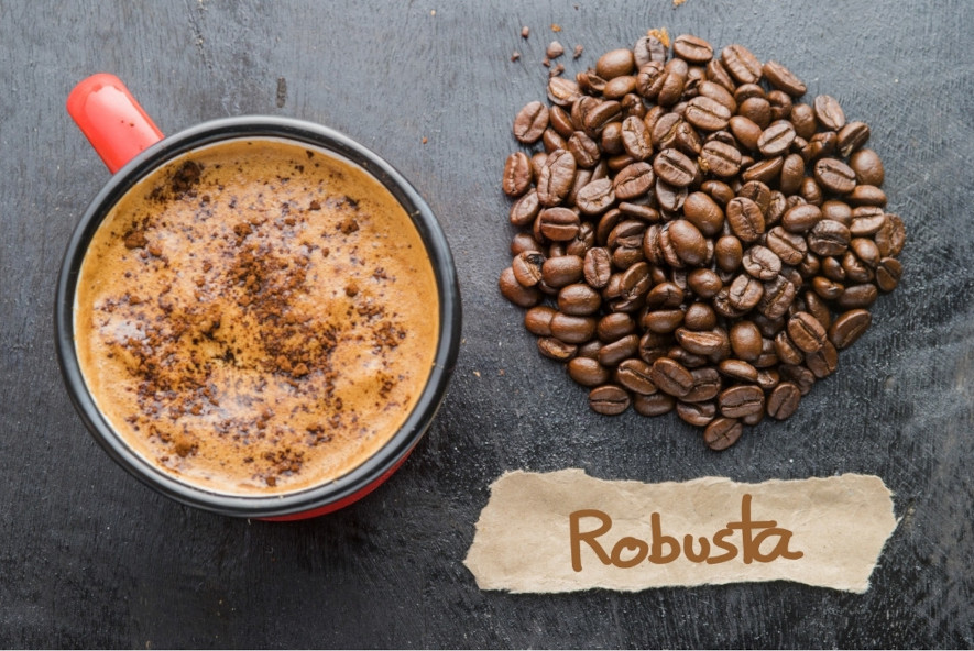 Rostade kaffebönor av sorten Robusta